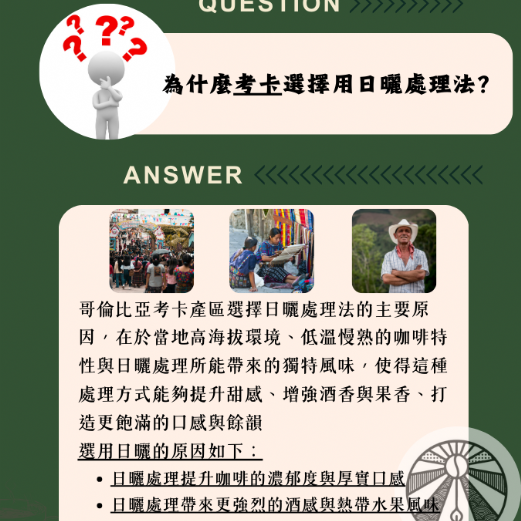哥倫比亞 考卡